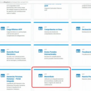 Elegir su tipo de responsabilidad fiscal