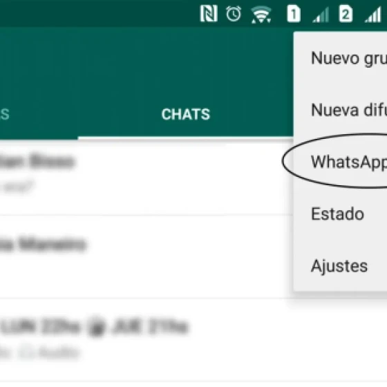 Paso 2