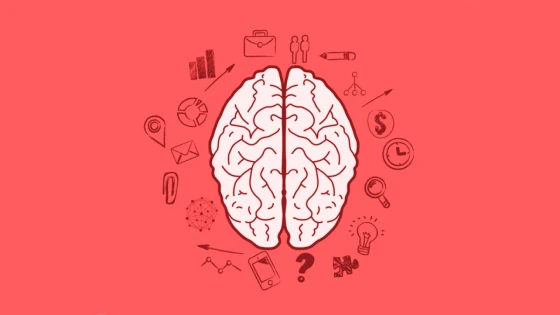 ¿Que es neuromarketing? 10 tecnicas de persuación aplicadas a sitios web