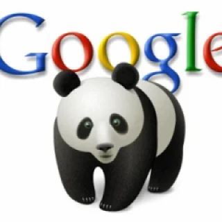 Foto de ¿Qué es Google Panda?