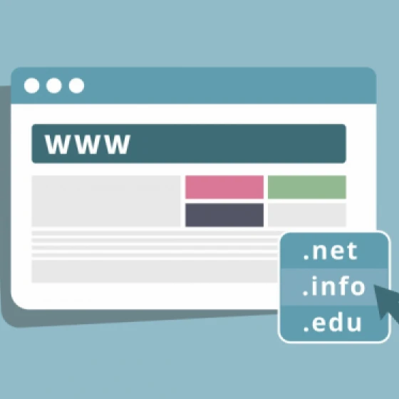 A partir de la segunda semana de Enero 2012 cualquier dominio web será posible